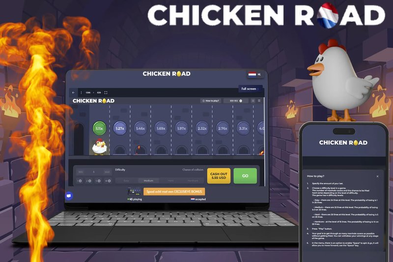 Speel het populaire Chicken Road gokspel nu online in Nederland - overview
